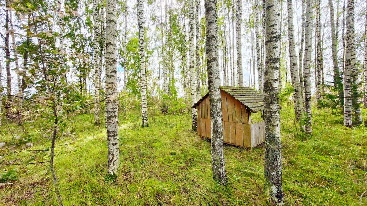 Parduodama Išskirtinė Sodyba–vienkiemis Su - nuotraukos Nr. 38