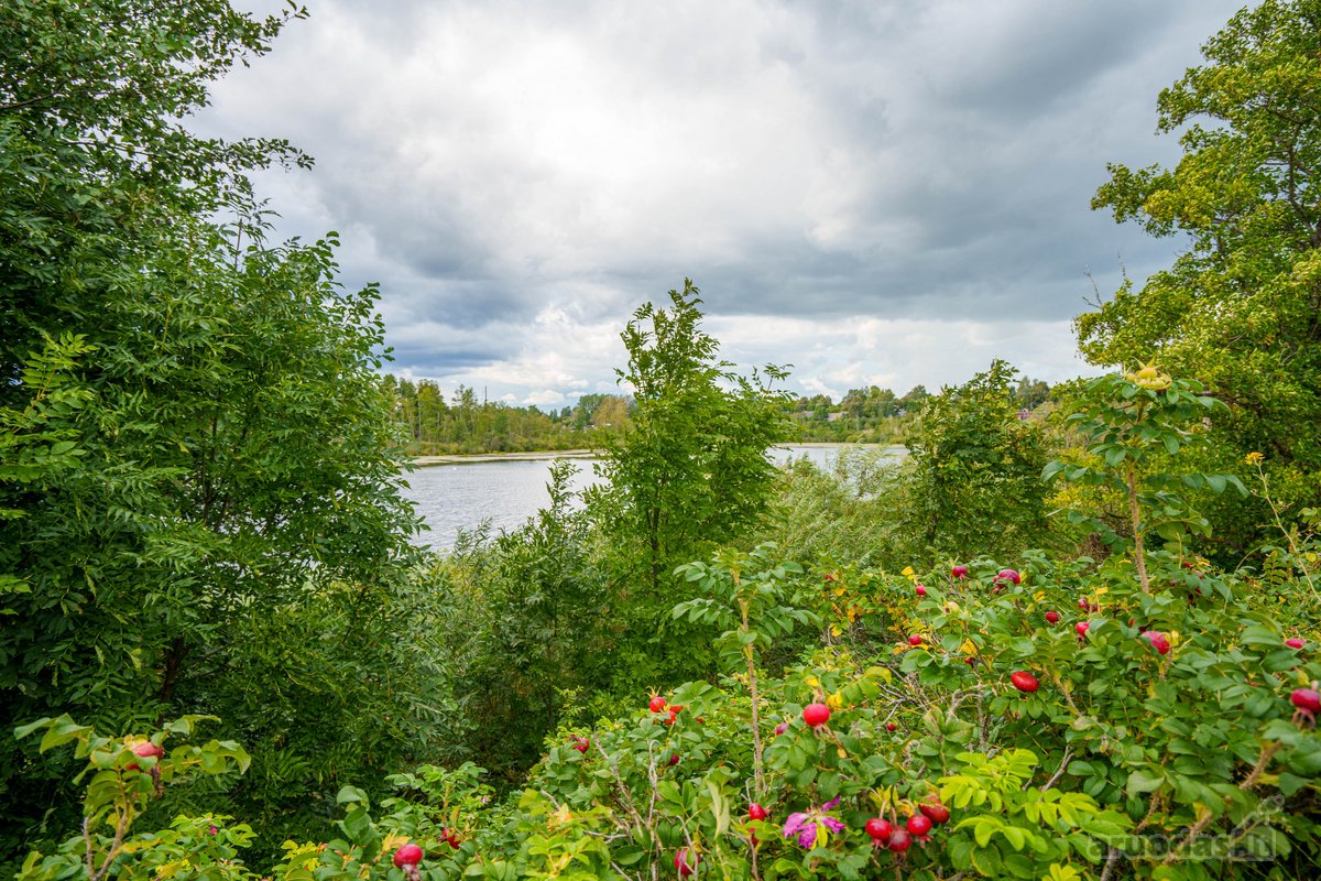 Parduodamas Tvarkingas 3 Kambarių Butas - nuotraukos Nr. 34