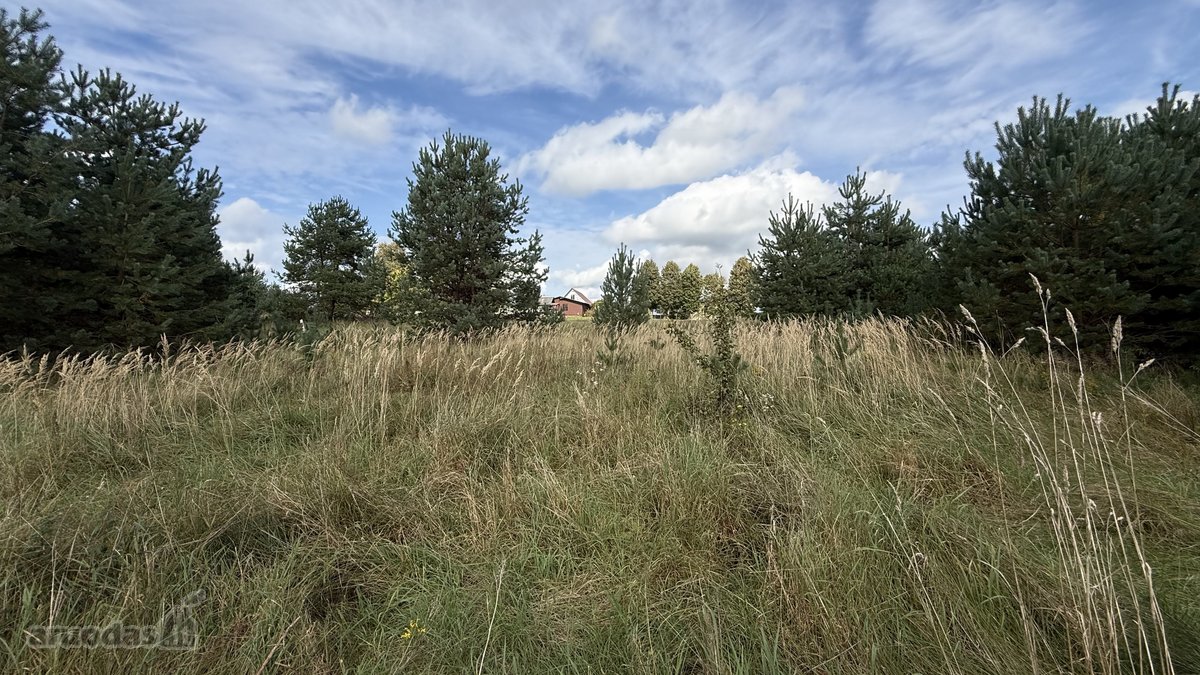 Privatus Sklypas Gamtos Apsuptyje  26 A - nuotraukos Nr. 4
