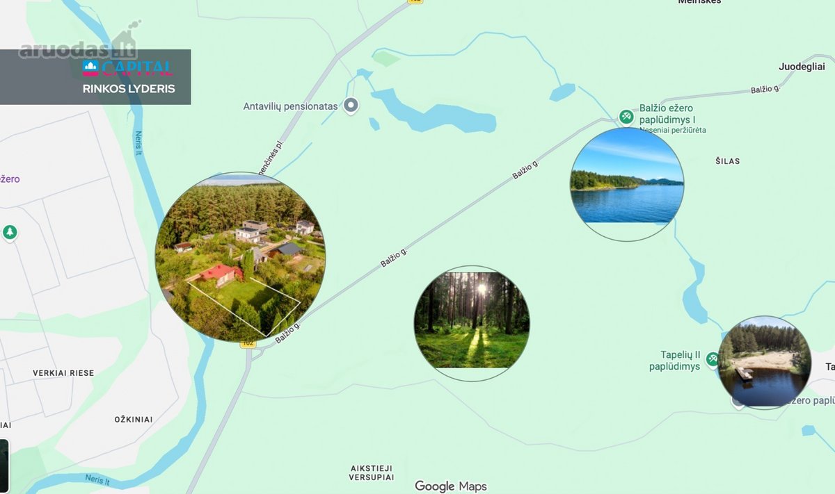 Puikioje vietoje parduodamas 5,33 a. sklypas - nuotraukos Nr. 12