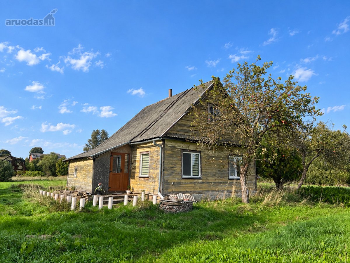 Labanoro Miškų Apsuptyje, Ramioje Vietoje, - nuotraukos Nr. 11
