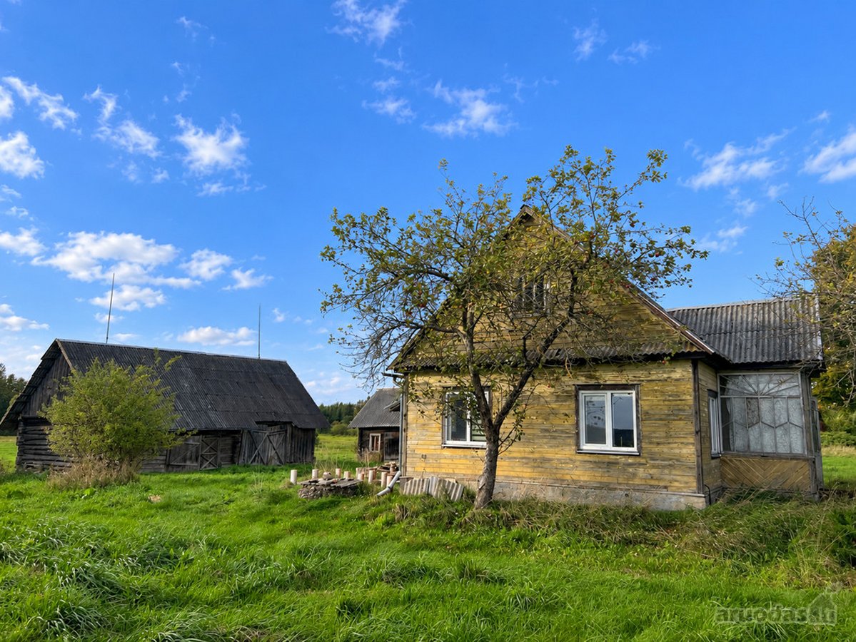 Labanoro Miškų Apsuptyje, Ramioje Vietoje, - nuotraukos Nr. 16