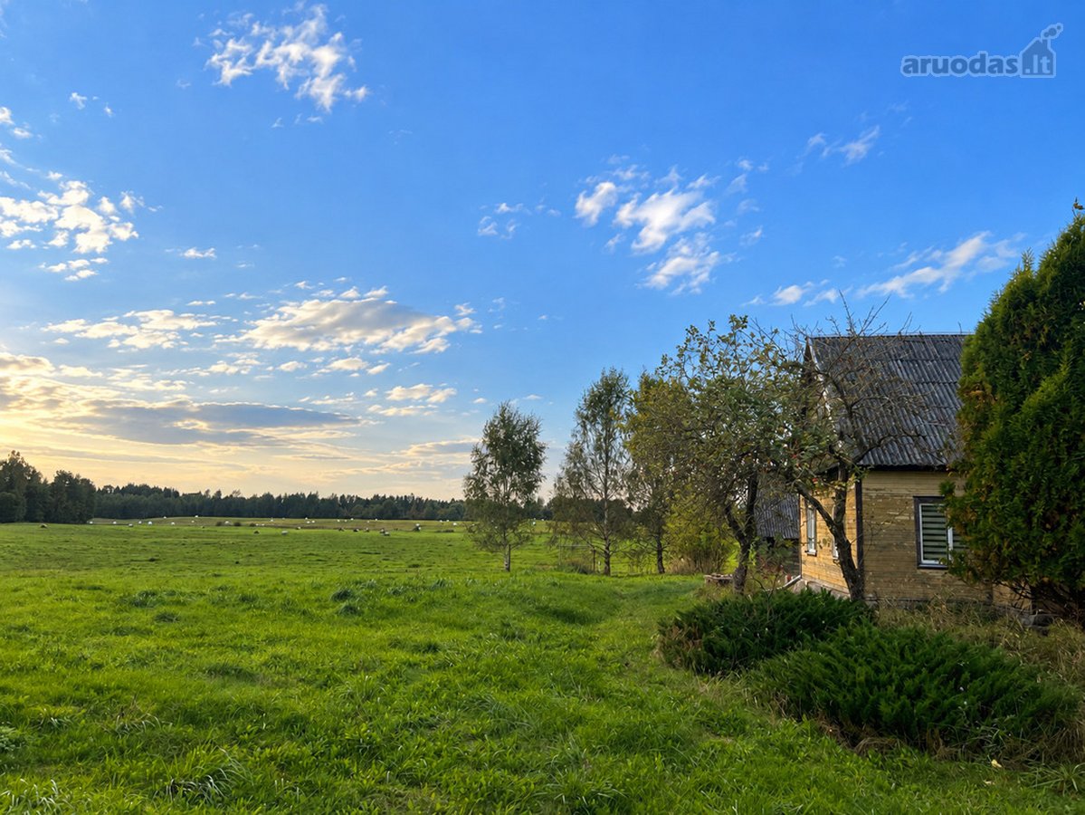 Labanoro Miškų Apsuptyje, Ramioje Vietoje, - nuotraukos Nr. 17
