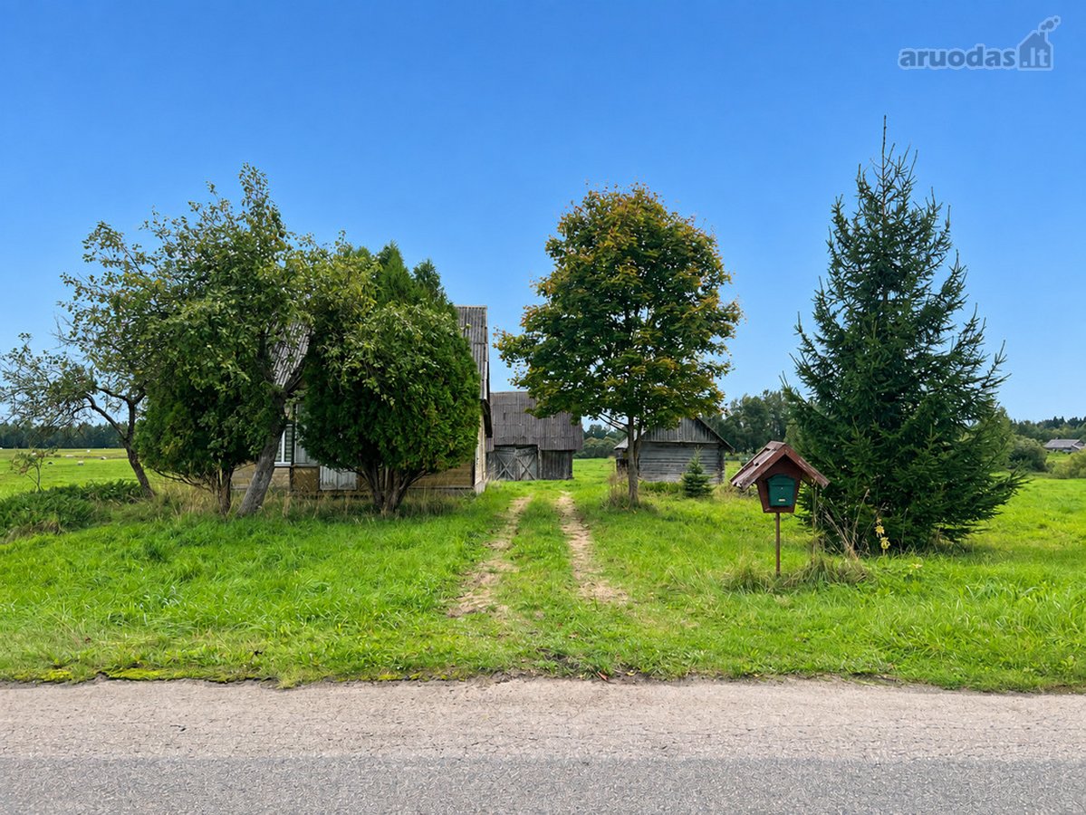 Labanoro Miškų Apsuptyje, Ramioje Vietoje, - nuotraukos Nr. 19
