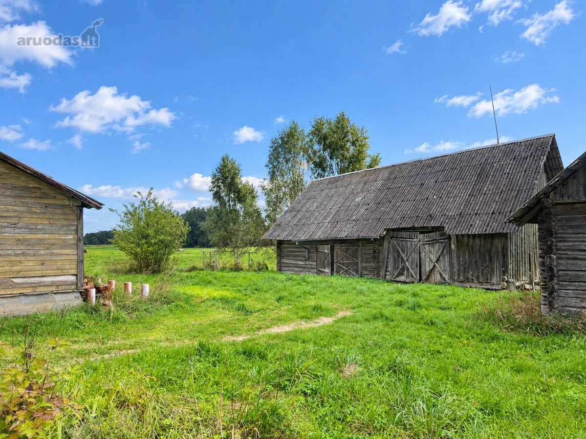 Labanoro Miškų Apsuptyje, Ramioje Vietoje, - nuotraukos Nr. 20