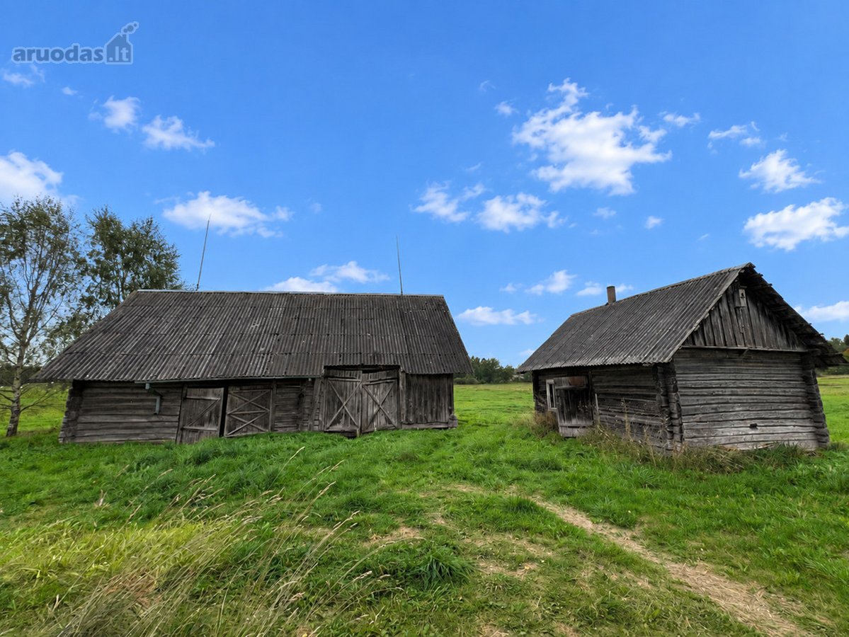 Labanoro Miškų Apsuptyje, Ramioje Vietoje, - nuotraukos Nr. 21