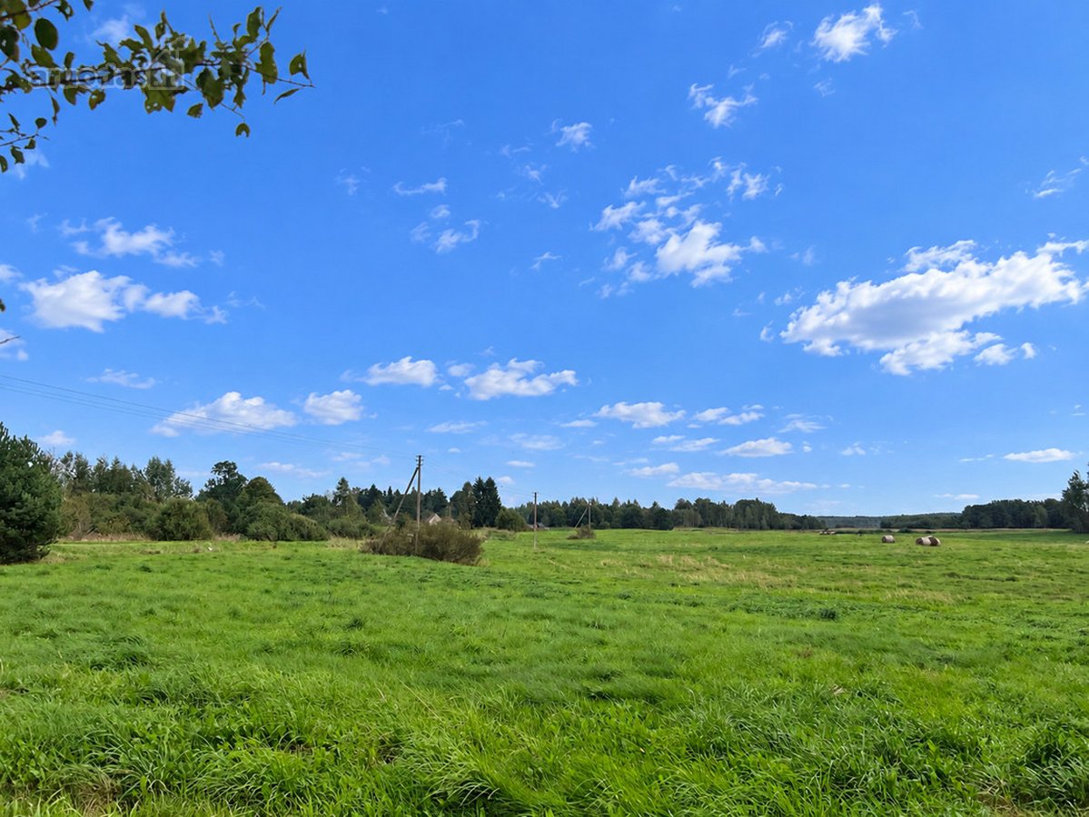 Labanoro Miškų Apsuptyje, Ramioje Vietoje, - nuotraukos Nr. 23