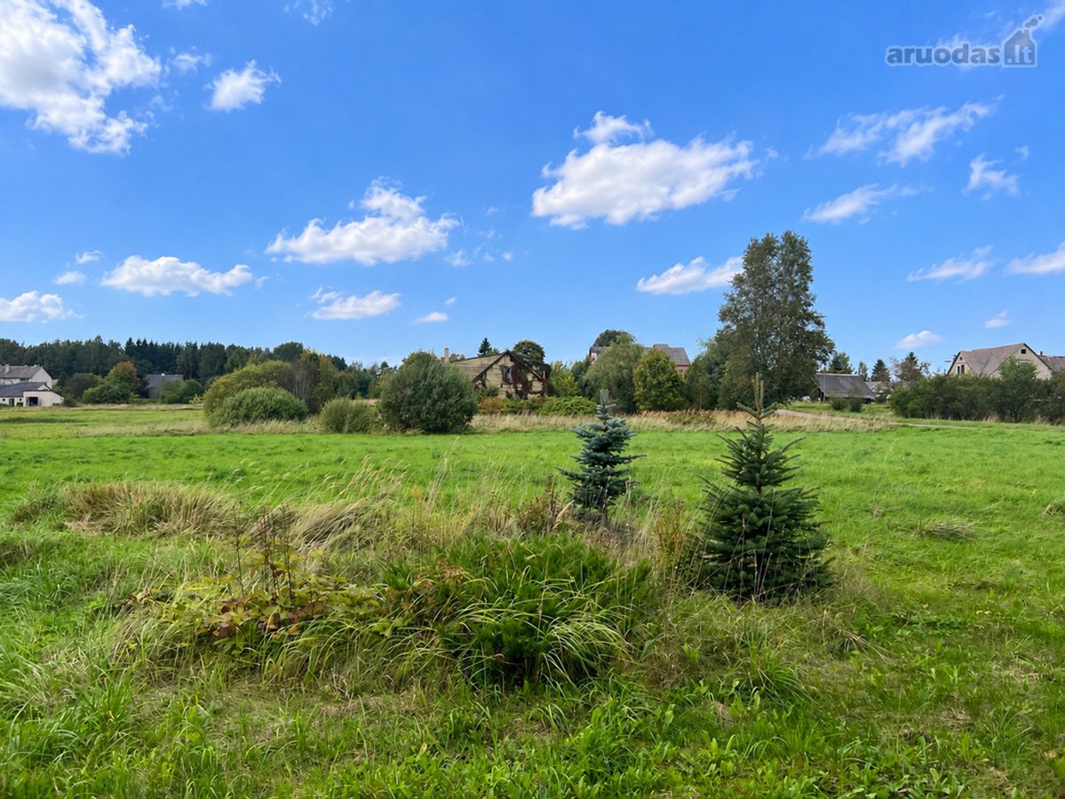 Labanoro Miškų Apsuptyje, Ramioje Vietoje, - nuotraukos Nr. 24