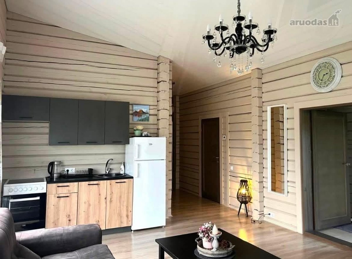 Išnuomojamas jaukus ir modernus 2 kambarių - nuotraukos Nr. 3