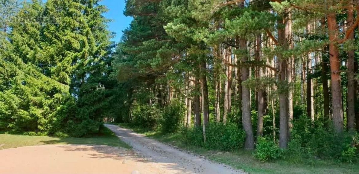 Išnuomojamas jaukus ir modernus 2 kambarių - nuotraukos Nr. 13
