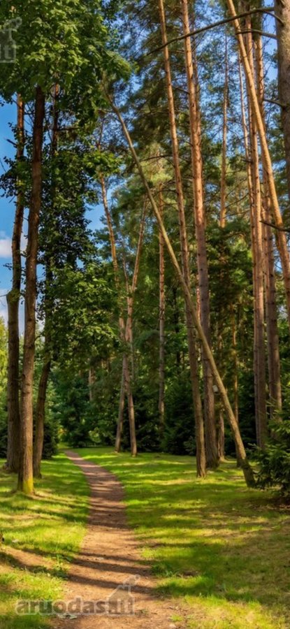 Nuomuojamas 2 Nepereinamų Kambarių Butas - nuotraukos Nr. 17