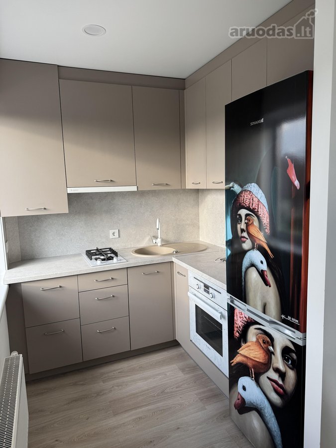 Nuomojamas jaukus ir pilnai įrengtas 40 m² - nuotraukos Nr. 11
