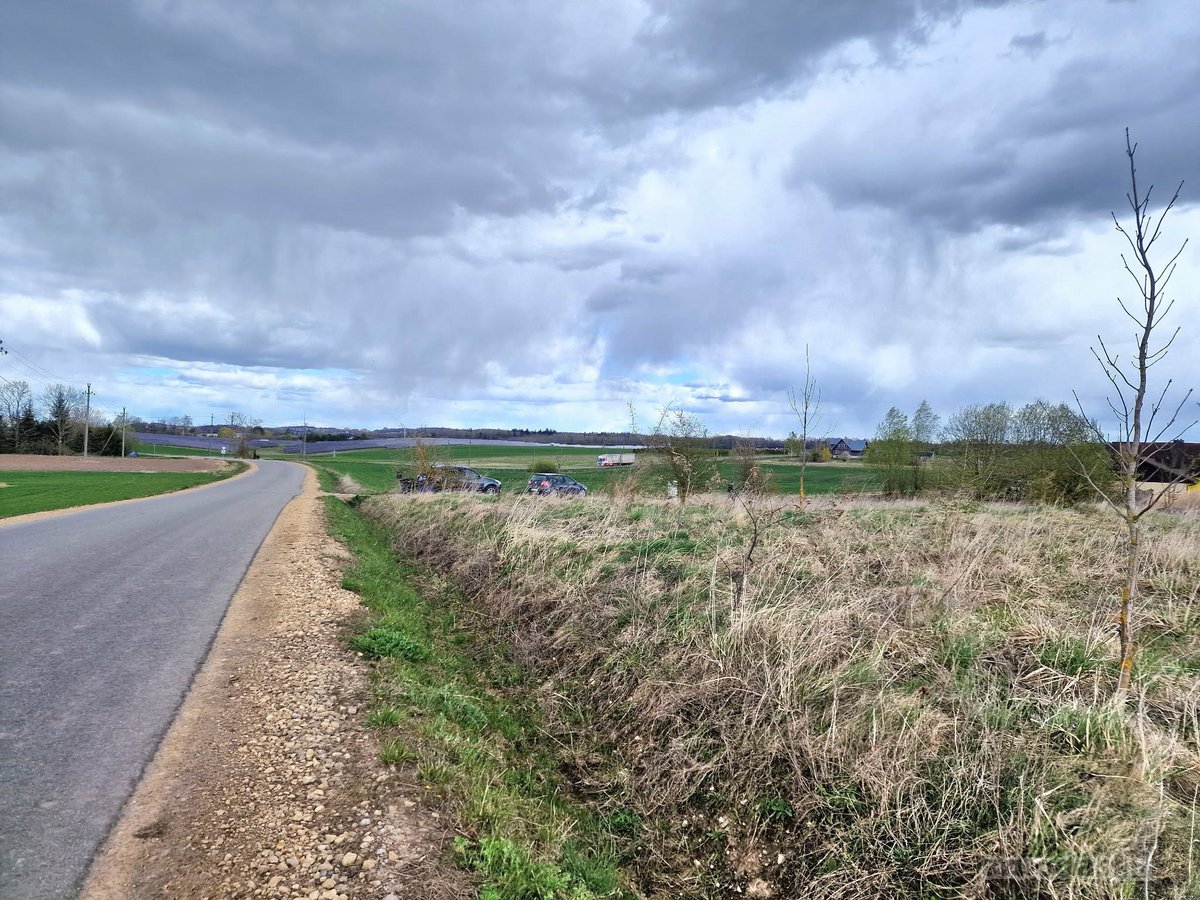 Parduodame 27,97a namų valdos sklypą Alytaus - nuotraukos Nr. 3