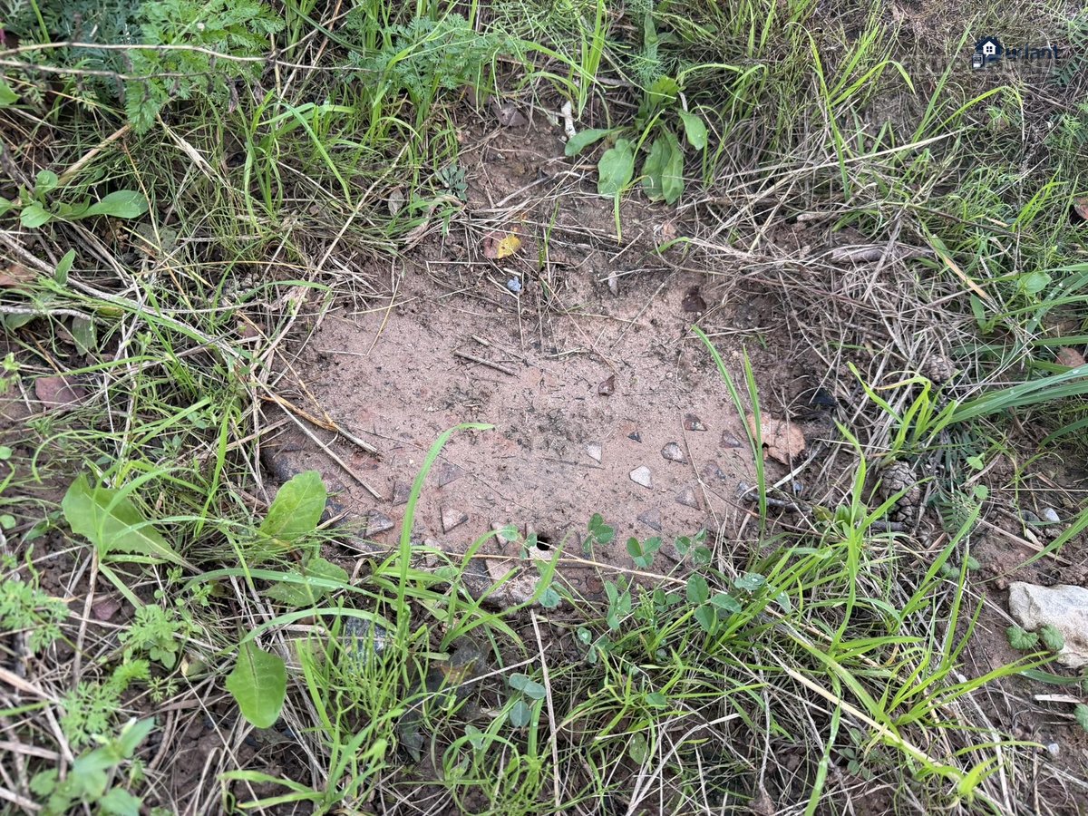 Parduodamas 13,85 A Žemės Sklypas Šalia Bubių - nuotraukos Nr. 6