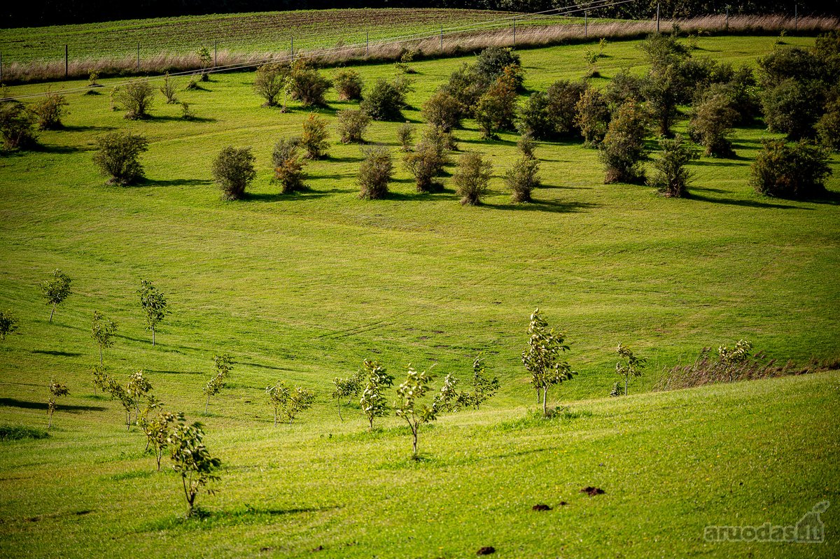 Parduodama Išskirtinė 13,8 Ha Sodyba - nuotraukos Nr. 63