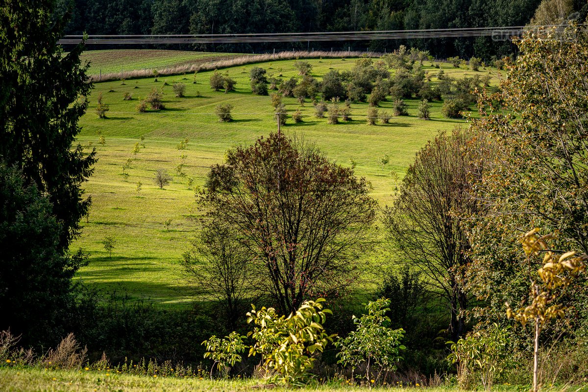 Parduodama Išskirtinė 13,8 Ha Sodyba - nuotraukos Nr. 73