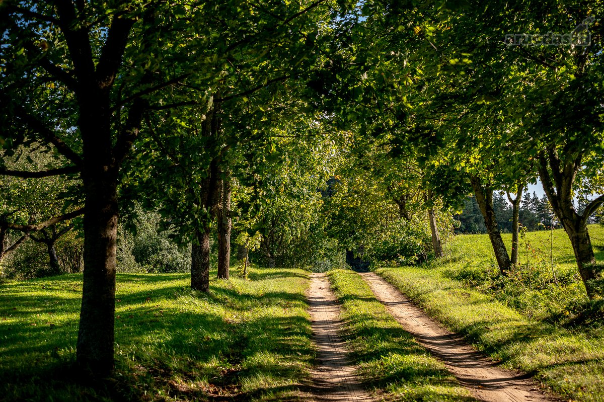 Parduodama Išskirtinė 13,8 Ha Sodyba - nuotraukos Nr. 74