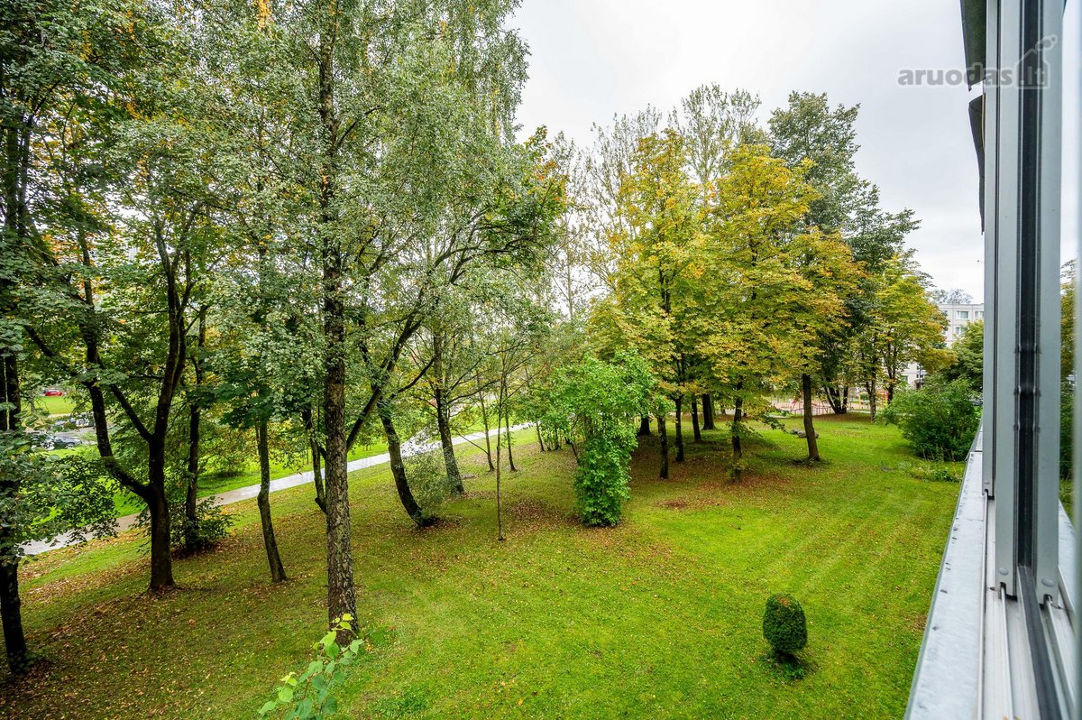 Itin patogioje vietoje, žalumos apsuptoje - nuotraukos Nr. 33