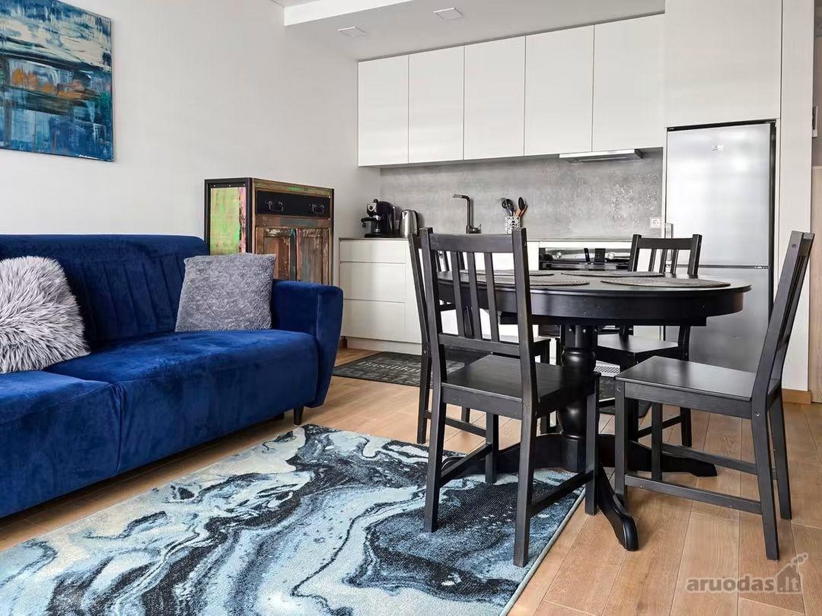 Išnuomojami Modernūs 2 Kambarių Apartamentai - nuotraukos Nr. 9