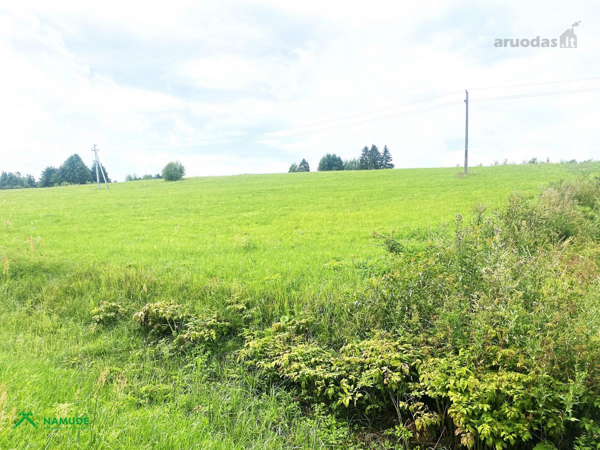 Sklypas Su Panorama Į Alaušo Ežerą – - nuotraukos Nr. 5