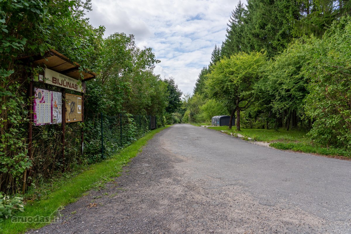 Jaukus ir prižiūrėtas sodas šalia Dvarčionių - nuotraukos Nr. 29