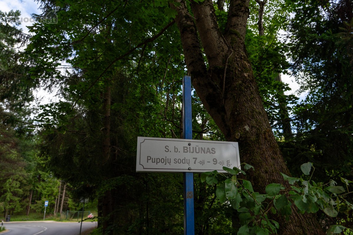 Jaukus ir prižiūrėtas sodas šalia Dvarčionių - nuotraukos Nr. 31