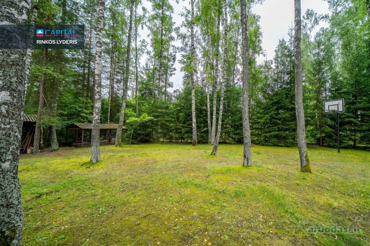 Išskirtinė Galimybė Ieškantiems Ne Tik Namų, - nuotraukos Nr. 27