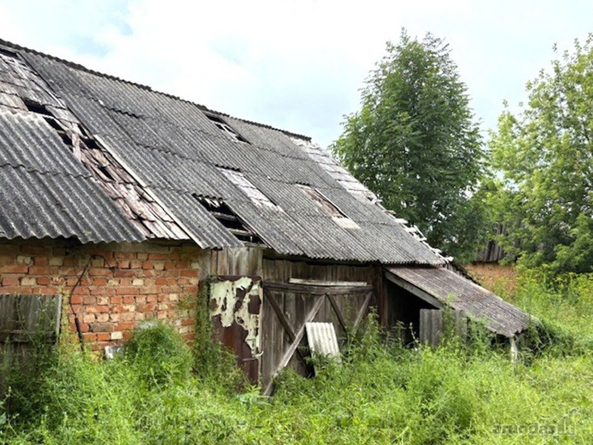 Gyvenamasis namas su sklypu ir pastatais - nuotraukos Nr. 17