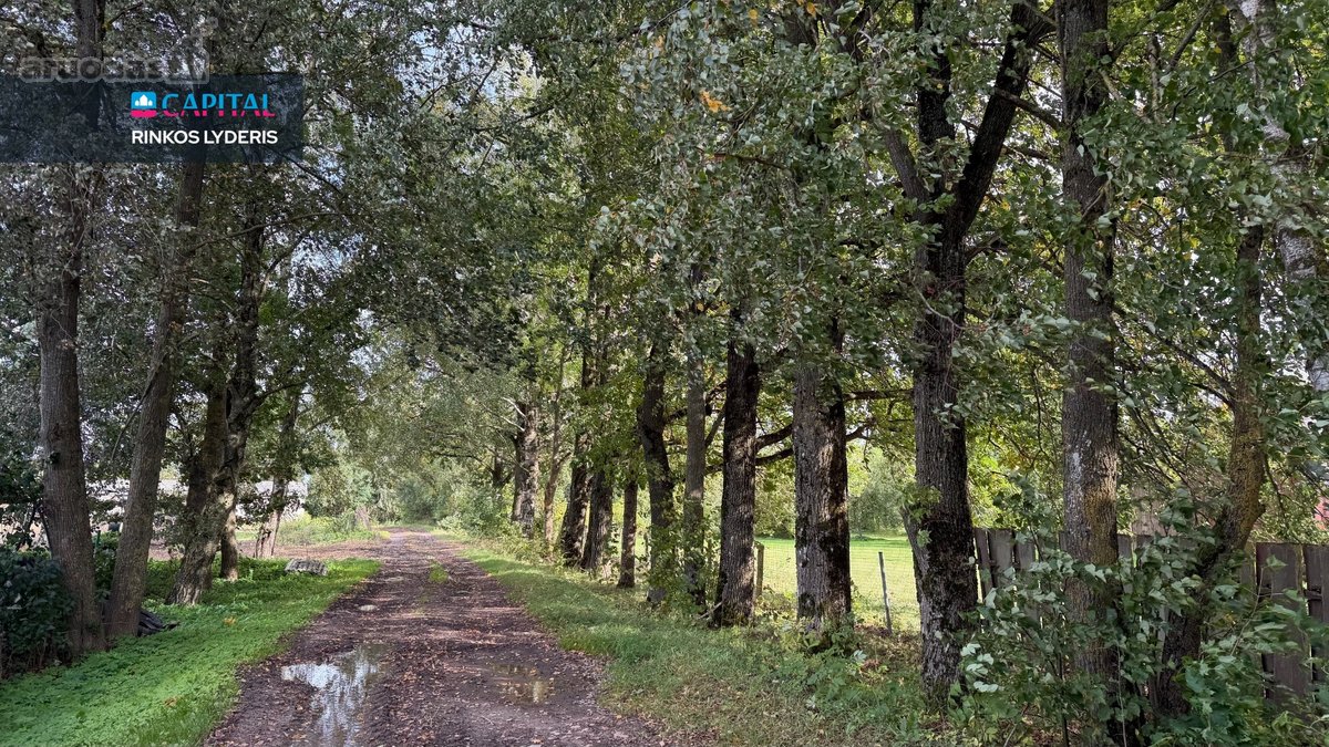 Sodyba Čekiškėje – Vos 650 M Iki Dubysos  22 - nuotraukos Nr. 16