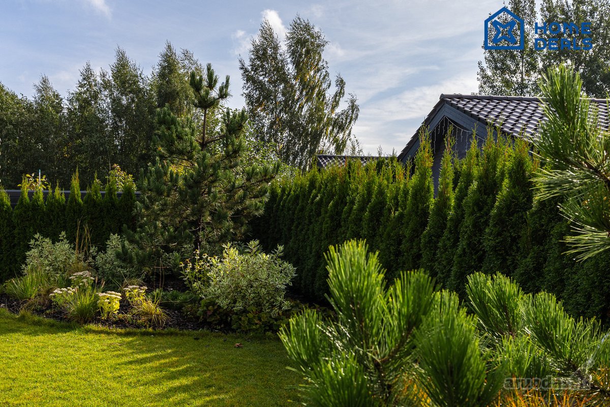 Pavilnyje, kur Vilniaus ūžesys pamažu nutyla, - nuotraukos Nr. 75