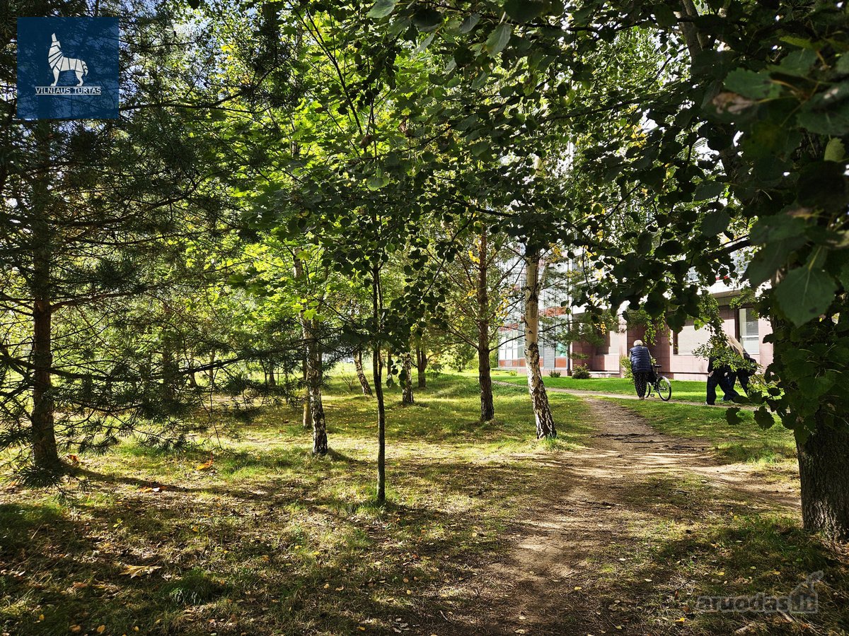 Nuomojamas jaukus ir tvarkingas 3 kambarių - nuotraukos Nr. 19