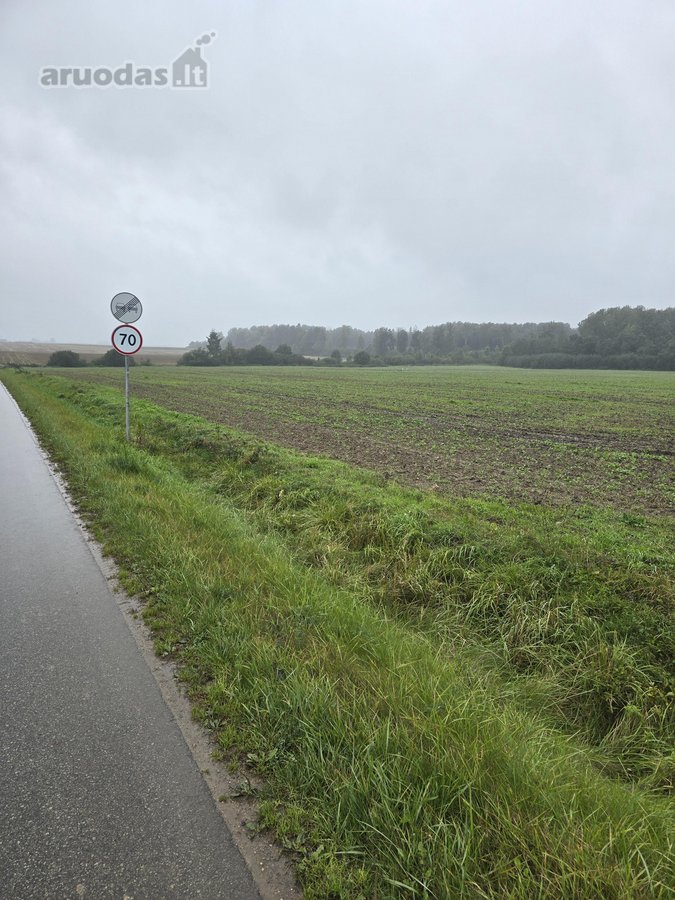 ? Parduodamas 1 Ha Sklypas Verslui Baisogaloje - nuotraukos Nr. 2