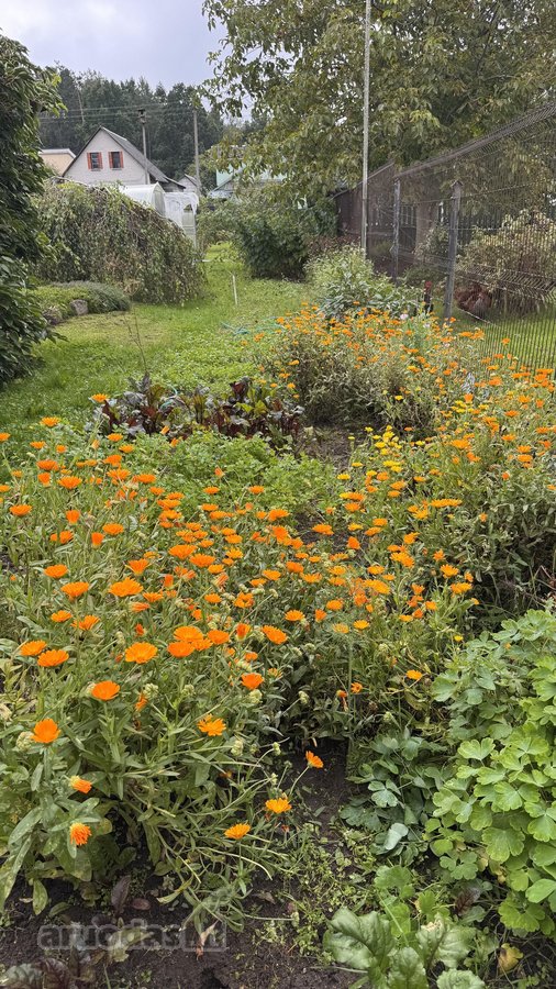 Parduodamas jaukus ir išskirtinis medinis - nuotraukos Nr. 40