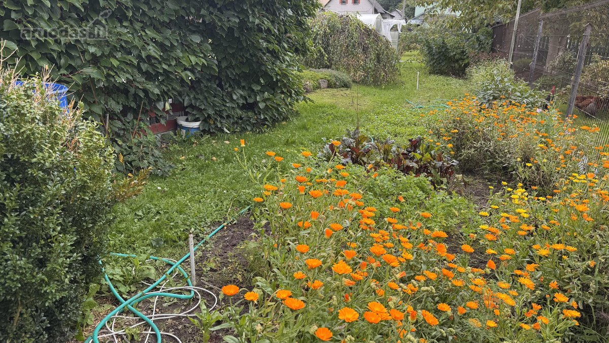 Parduodamas jaukus ir išskirtinis medinis - nuotraukos Nr. 41