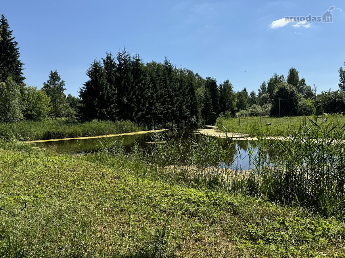 Parduodama sodyba su 96 arų namų valdos - nuotraukos Nr. 6