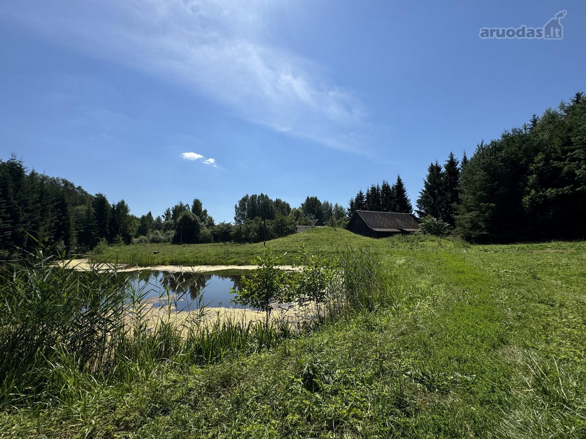 Parduodama sodyba su 96 arų namų valdos - nuotraukos Nr. 14