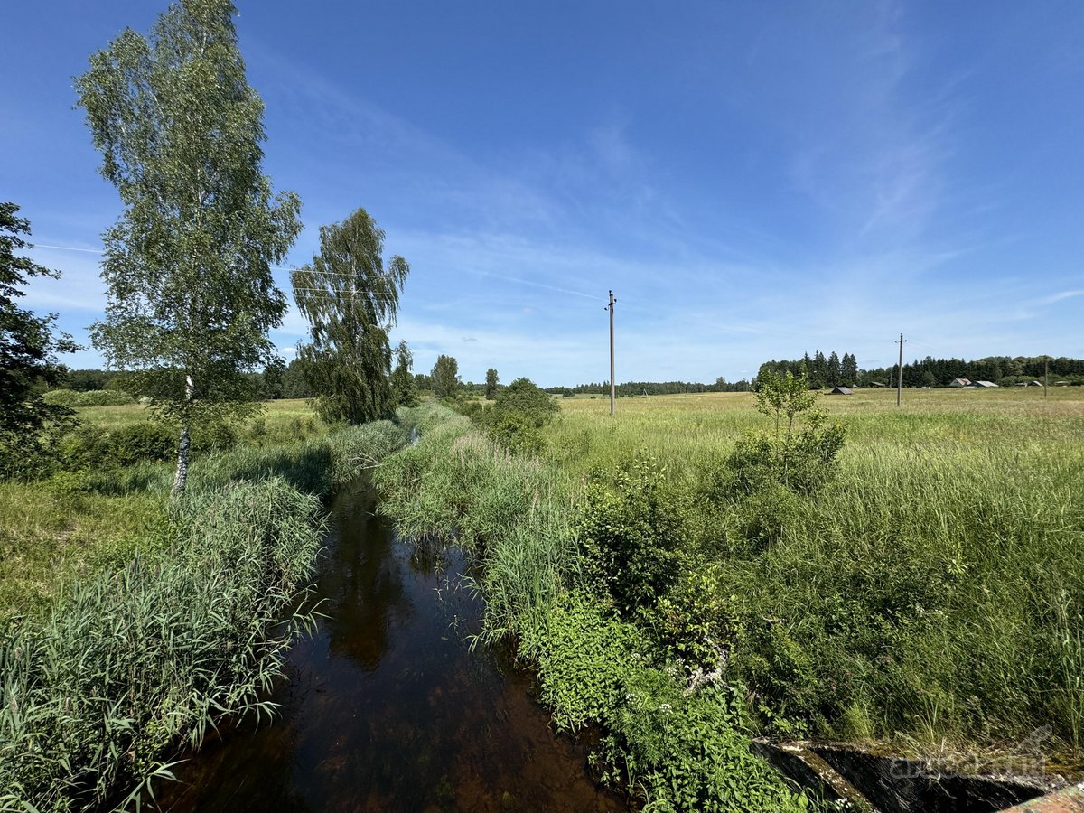 Parduodama sodyba su 96 arų namų valdos - nuotraukos Nr. 19