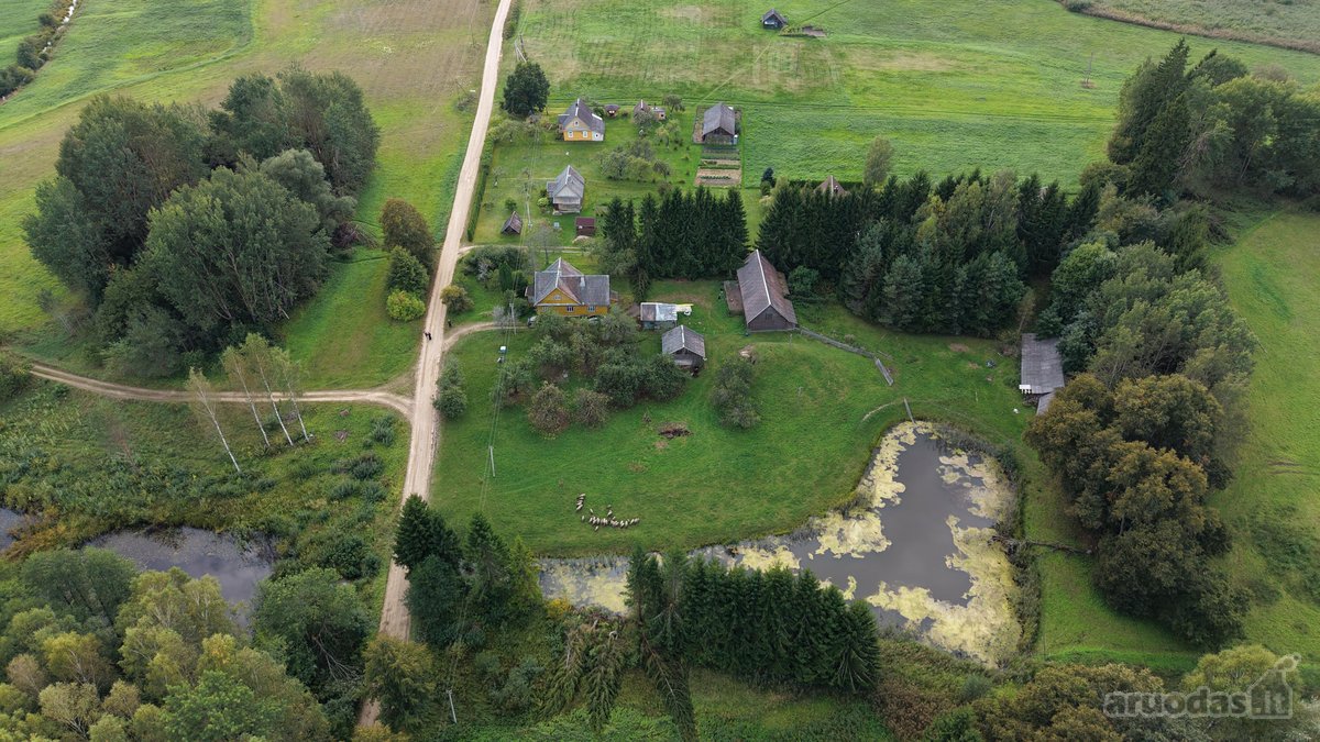 Parduodama sodyba su 96 arų namų valdos - nuotraukos Nr. 5