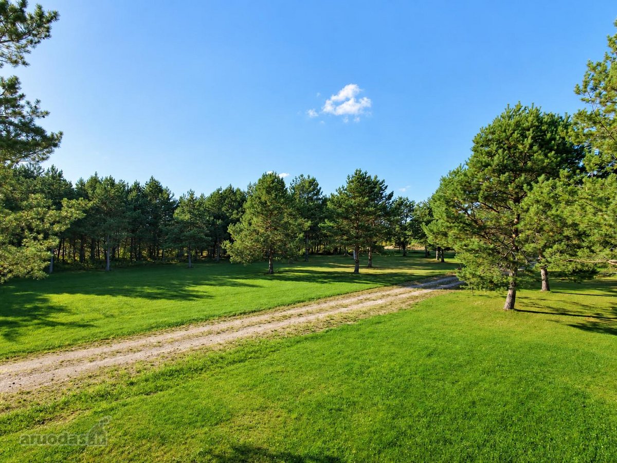 Namų Valdos Sklypai Pamiškėje, Brandžių Pušų - nuotraukos Nr. 5