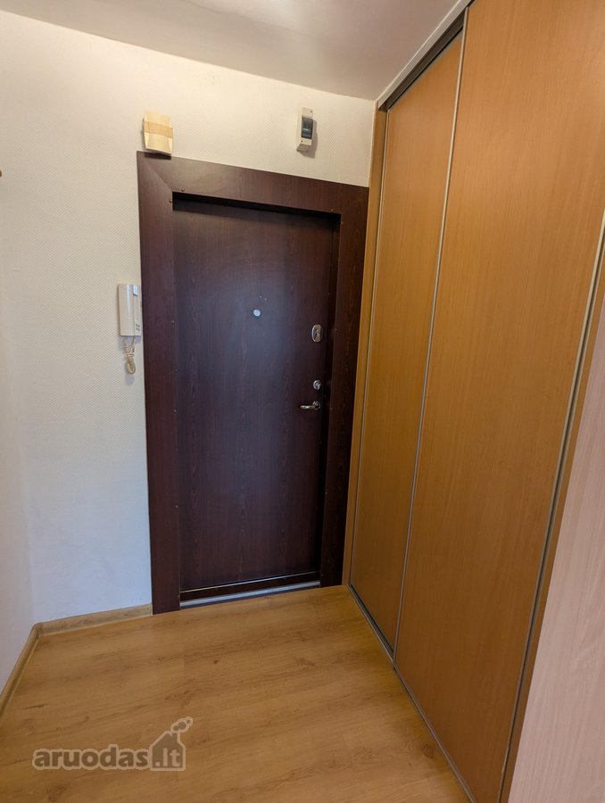 Išnuomojamas puikiai įrengtas, šviesus ir - nuotraukos Nr. 15