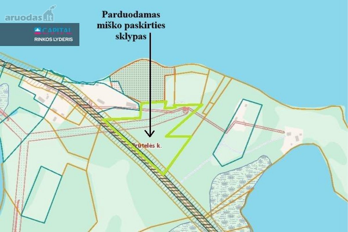 2,5 Ha Miško Sklypas Prie Prūto Ežero – - nuotraukos Nr. 4