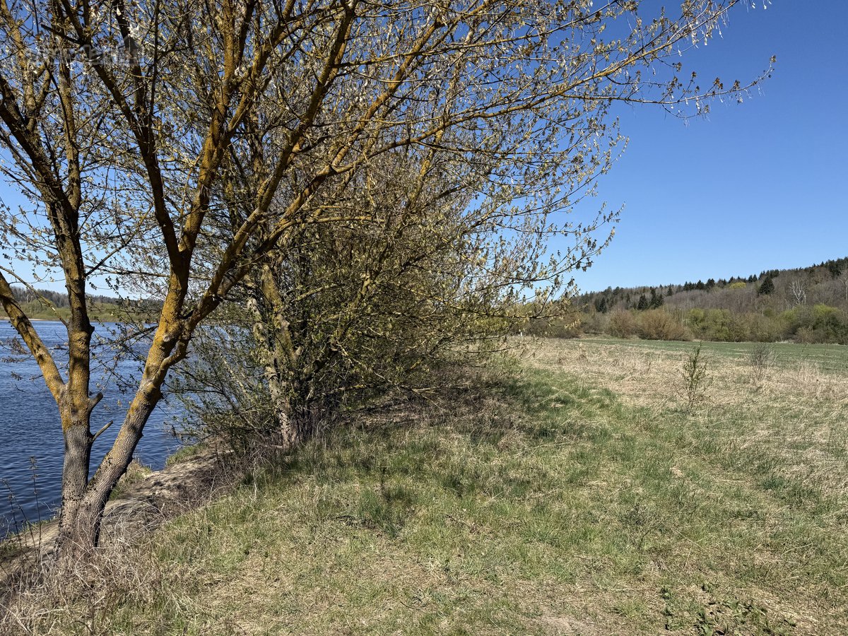 Parduodamas 99,62 arų žemės ūkio paskirties - nuotraukos Nr. 8