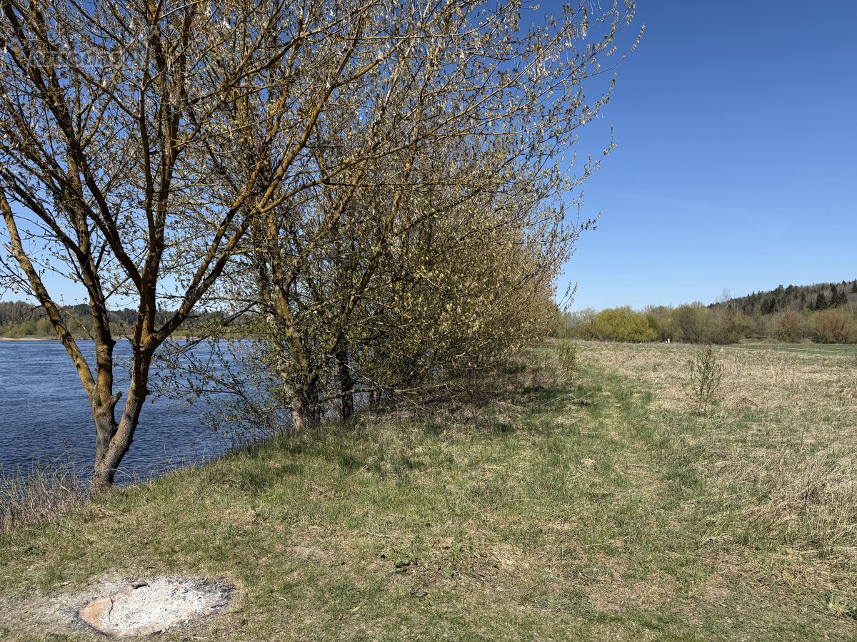 Parduodamas 99,62 arų žemės ūkio paskirties - nuotraukos Nr. 9