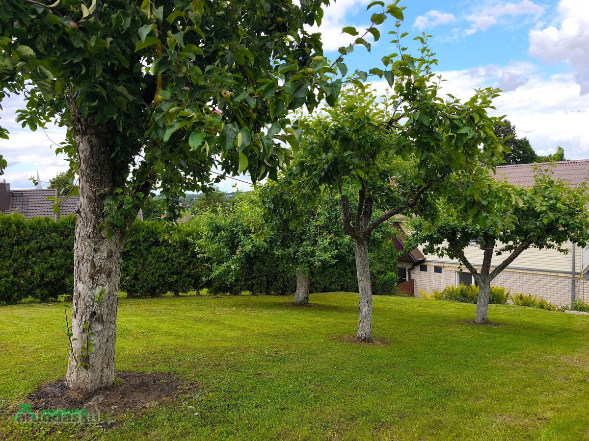 Parduodamas Namas Anykščiuose – Šaltupio G. 38a - nuotraukos Nr. 14