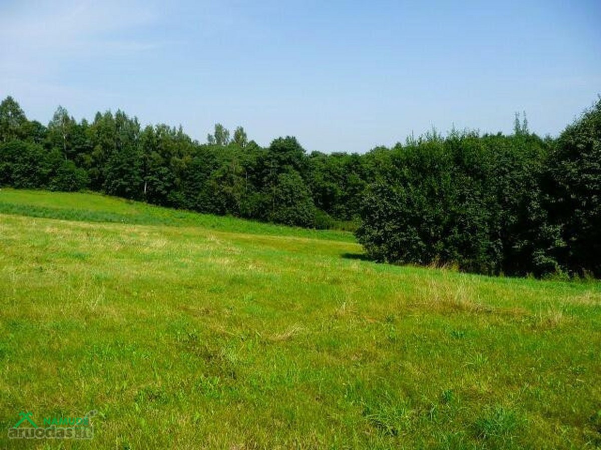 Išskirtinis 2,6 Ha Sklypas Zarasų Krašte – 23 - nuotraukos Nr. 4