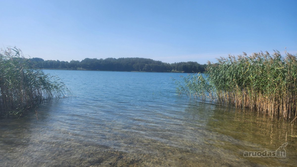 Labai graži vieta, nuo sklypo atsiveria - nuotraukos Nr. 13