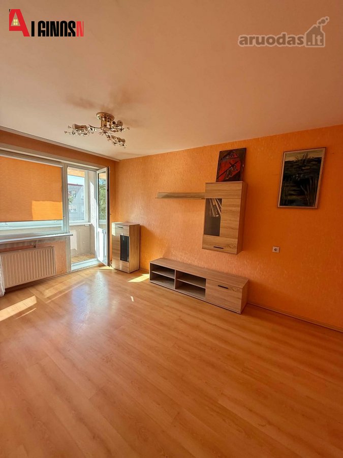 Šviesus Ir Erdvus 1 Kambario Butas I. - nuotraukos Nr. 6