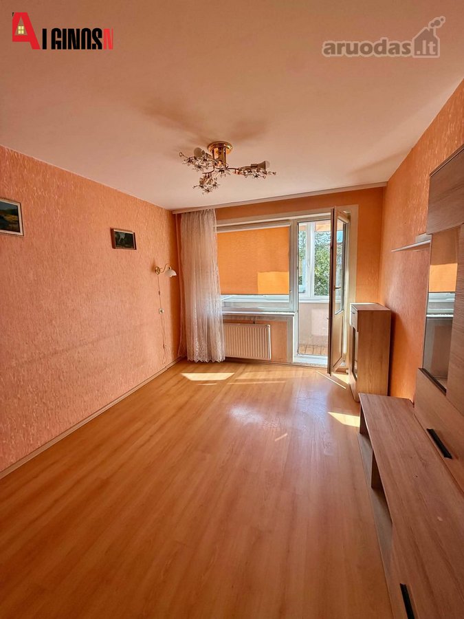 Šviesus Ir Erdvus 1 Kambario Butas I. - nuotraukos Nr. 5