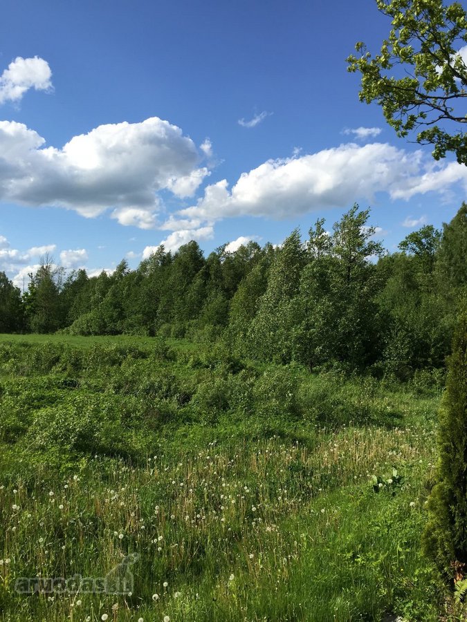 Parduodamas 55 arų sklypas gamtos apsuptyje, - nuotraukos Nr. 3