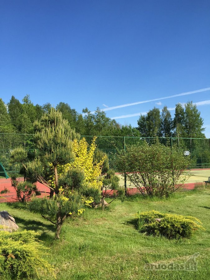 Parduodamas 55 arų sklypas gamtos apsuptyje, - nuotraukos Nr. 5
